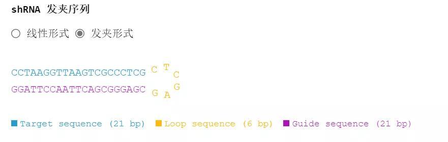 手把手教你设计哺乳动物shRNA干扰载体